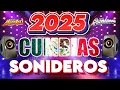 Download Lagu CUMBIAS PERRONAS MIX CUMBIAS SONIDERAS PARA BAILAR 2025🕺💃SUPER ESTRENO🎶GRUPO QUINTANNA,TEPOZ Y MÁS
