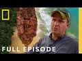 Attack on Pearl Harbor Full Episode Buried Secrets of WWII National Geographic