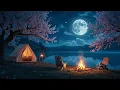 Download Lagu Relaxing Night in Nature | Moonlight Wilderness \u0026 Peaceful Planet