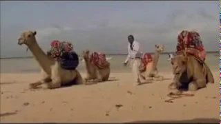 matonya feat fid q taxi bubu official music video 