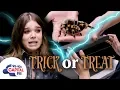Hailee Steinfeld Plays Terrifying Game With A Tarantula Capital