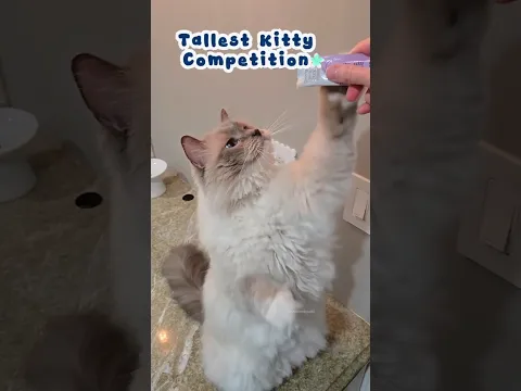Who deserves the award for best standing? 🧍♂️🧍♂️🧍♀️