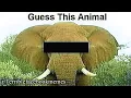wrong answers only