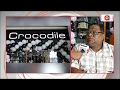 Luxurious Men s Wear Garments Crocodile Brand Celebrating Its 2nd Anniversary