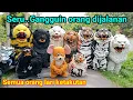 Download Lagu Can macanan singo Raung cilik di undang acara khitan | ganguin orang dijalanan sampai lari ketakutan