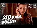 Download Lagu Yaprak Dökümü 210. Kısa Bölüm