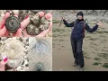 Come Fossil Hunting With Me - Ammonites, Sea Urchins, Minerals \u0026 More - In France 👀