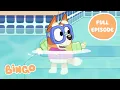 Download Lagu Bingo in the Pool 💧🧡 | Bluey Series 1 FULL EPISODE | Bingo - Official Channel