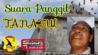 suara panggil tanazul by deni welliyam walet 