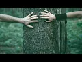 Download Lagu SNOW RAVEN (OLOX) feat. ANDREAS OM. The Northern Wind.