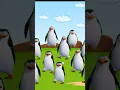 Pinguin joget joget #pinguin #shortvideo