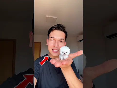 جرو صغير بحجم إصبع… لكن قلبه كان أقوى من الجميع 🥺🐶❤️ #shorts #اكسبلور