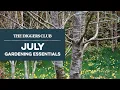 July Garden Essentials