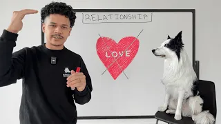 How to Have a HEALTHY Relationship With Your DOG