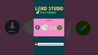 آشنایی با مواد مخدر  کوکائین  کوکائین  اعتیاد  محرک  توهم           موادمخدر  اعتمادبه نفس دندنها