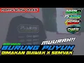 DJ BURUNG PUYUH X SEMPAK || JINGLE JS AUDIO♪ || AGUNG DISCJOCKEY \u0026 PAKIS SLOW BASS (bass beton)