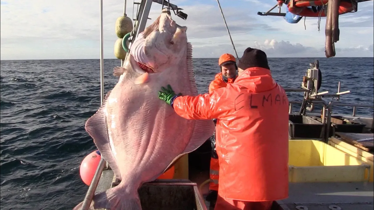 Faroese Commercial Fishing – The Voyage of Liraberg TN 213