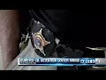Detention Deputies Wanted