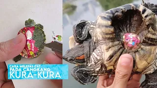 Proses Pelepasan Cat Kura Kura, Jika Tidak Berakibat Fatal