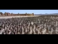 Video di Troy - trailer ita HD