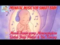 Download Lagu Prenatal Music for Smart Baby - Musik Janin yang Menenangkan – Untuk Bayi Pintar \u0026 Ibu Tenang #2025