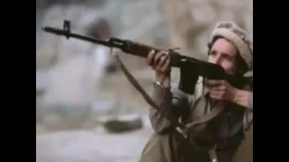 صدیق شباب خاک وطنم ز مرده بیزار شده دندنها
