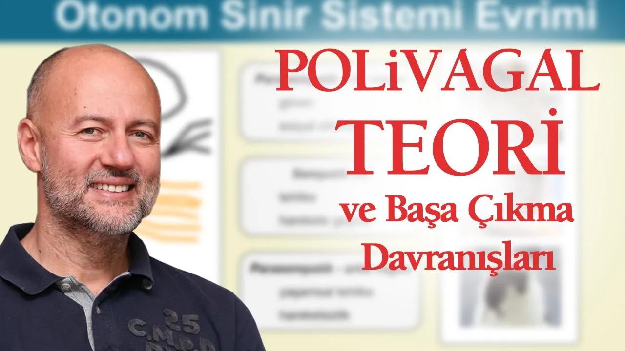 Polivagal Teori ve Başa Çıkma Tepkileri - Canlı Yayın - Bölüm 5