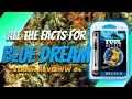 Blue Dream Strain - Everything You Need to Know Strain Review Four