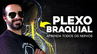 APRENDA TODOS OS NERVOS DO PLEXO BRAQUIAL