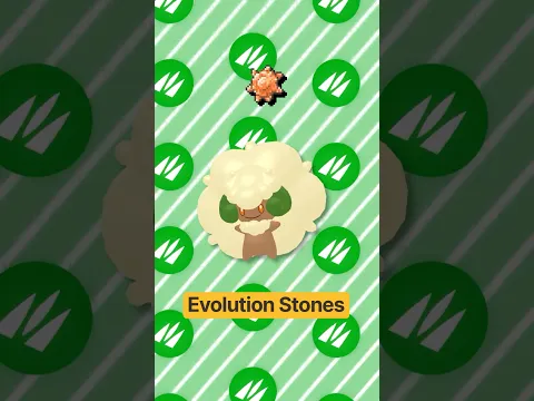 What Every Evolution Stone Evolves