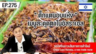 ตั๊กแตนอบแห้ง เมนูสะดุดตาในอิสราเอล EP.275