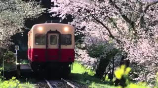 yumi matsutoya haru yo koi kreygasm right version