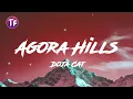 Download Lagu Doja Cat - Agora Hills (Lyrics)