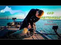 TOURNAMENT FISHING cod nationals
