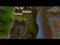 How to Train Your Cat Into Wily Cat OSRS 2021
