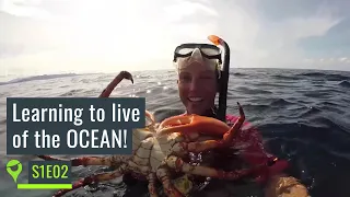 Living off-grid: no supermarket in sight, I have to learn to live of the ocean