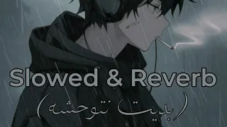 Cheikha Djamila Rziwia Bdit Ntwahchah بديت نتوحشه Slowed Reverb 