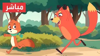 قناة أسرتنا مباشر   أغاني جديدة          دندنها