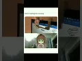 Download Lagu Monika Meme #ddlc #dokidokiliteratureclub #ddlcmonika #ddlcmeme #monika #justmonika #myart #artmeme