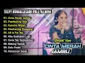 Download Lagu Silvy Kumalasari - Cinta Merah Jambu | Dangdut Koplo Full Album Terbaru 2025 | Gulu Pedot