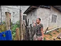 Download Lagu AWAL PAGI KUMANG JAWAI DI KEBUN BAGI BINATANG TERNAKAN MAKAN // 