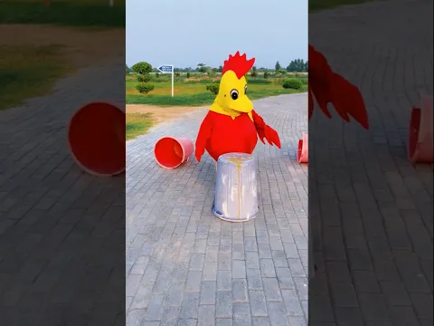 funny 🤣😂 rooster 🐔🐓