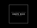 Shape Nice (Dj Puffy Chopped Remix) - Afro B, Vybz Kartel, & Dre Skull