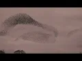 San Holo - keep you to myself (Official Music Video)