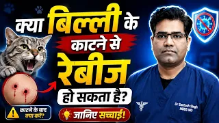 क्या बिल्ली के काटने से रेबीज हो सकता है? जानिए सच्चाई! 🐱⚠️