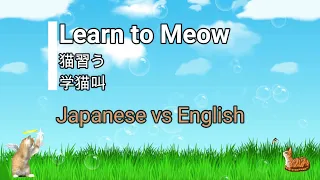 Download 学猫叫/xue mao jiao/Learn to Meow Japanese Vs English Version Cover with Lyrics MP3