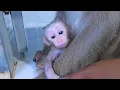 Download Lagu Cute Newborn Looking His Face In Camera