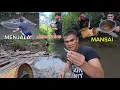 Rezeki❓Menjala,Mansai \u0026 Memancing Bersama BB Bom  // Bagi Ternakan Makan😘