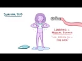 Surviving Your First Year of Medical School A Student Doctor Network Osmosis Quick
