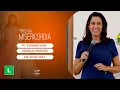 Download Lagu Terço da Misericórdia - 31/01/2023